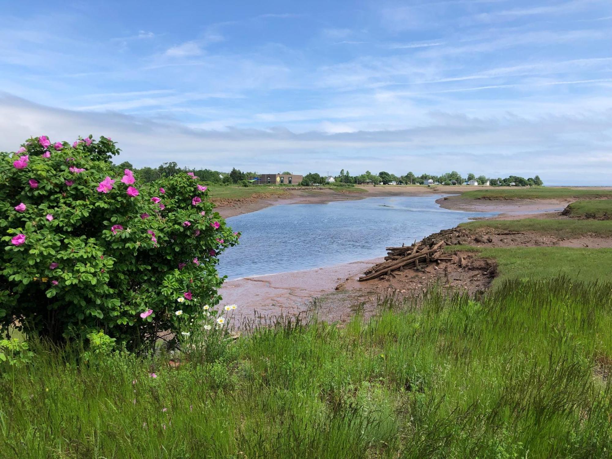 Pleasant Street Inn Parrsboro ภายนอก รูปภาพ